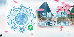 ����ѡ��